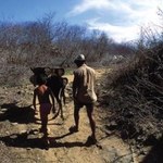 Pesquisa: Economia e Cultura no Sertão Nordestino