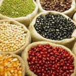 Projeto em Branquinha trabalha Economia Solidária com assentados