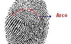 A digital com o desenho de arco representa muita força, porém baixo nível de coordenação motora