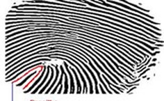 A digital com o desenho de presilhas representa velocidade e explosão