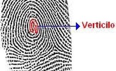 Já a digital com o desenho de verticilo (rodamoinho) representa força, velocidade e resistência