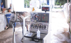 Ações do projeto são realizadas através de parcerias