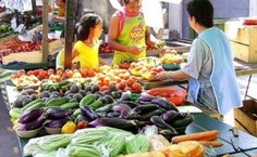 "As feiras são lugares de mobilização de pessoas e, por isso, são muito importantes", explica o prof. Samuel Pires. Foto: arapiraca.al.gov.br