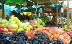Quatro feiras no município de Arapiraca já foram estudadas. Foto: alagoasemtempo