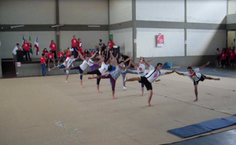 Apresentação de ginástica no Centro Educacional Edgard Santos