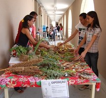 Alunos apresentam benefício de plantas para tratamento de doenças