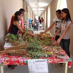 Alunos apresentam benefício de plantas para tratamento de doenças