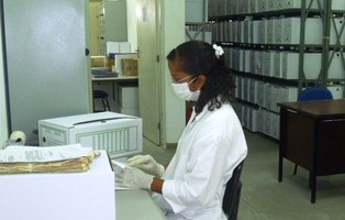 Arquivo Central define nova organização de documentos