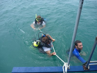 Mergulho para coleta