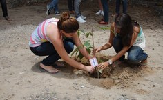Carolina e Karla plantaram a muda de ipê rosa