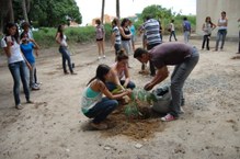 Veteranos auxiliam no preparo da terra