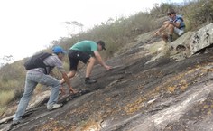 Professores escalam a Serra da Onça