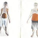 Pinacoteca abre exposições 2012 com mostra de Martha Araújo