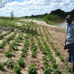 Congresso sobre o semiárido alagoano está com inscrições abertas