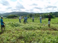 Dmensionando a área experimental