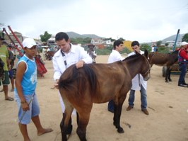 Projeto Carroceiro Vet Legal realiza ações com criadores de equídeos