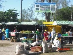 Projeto monta feira de produtos sem agrotóxico