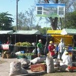 Projeto monta feira de produtos sem agrotóxico