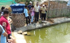Produtores expõe as criações no assentamento, pscultura, suína, equina e de aves