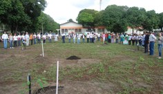 Oração ao redor das árvores plantadas