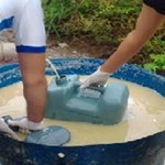 Hidrogênio é produzido biologicamente a partir de resíduos agroindustriais