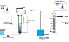 Acompanhe a dinâmica dos reatores