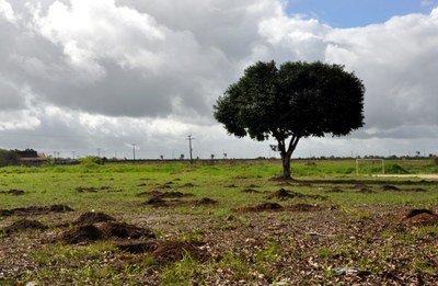 Local que receberá o Bosque fica localizado em frente ao ICHCA