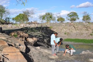 Projeto de Paleontologia busca fósseis em Alagoas