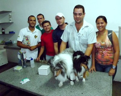 Equipe em aula prática de inseminação artificial em cadela