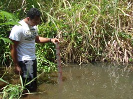 Pesquisa avalia potencial hídrico e ambiental das nascentes do semiárido