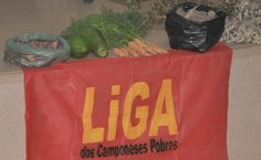 Legumes produzidos pela Liga Camponesa foram expostos durante o evento