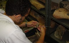 Estudante Jonhson Sarmento, participa do processo de conservação e de análise dos fósseis mantidos no MHN