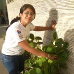 Semana de Biologia é encerrada com plantio de mudas