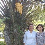 Aluna de Biologia concorre a Prêmio Nacional de Botânica