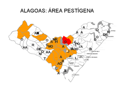 Doenças infecciosas ameaçam saúde da população alagoana