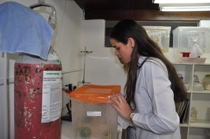 Aluna do IQB recebe prêmio nacional em Congresso de Química