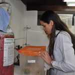 Aluna do IQB recebe prêmio nacional em Congresso de Química