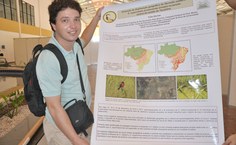 Pesquisa revela fenômeno causado pelo desmatamento na Amazônia