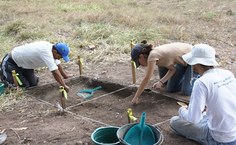 Trabalhos foram iniciados há cerca de 40 dias no sítio Baixa das Flores