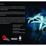 Ufal em Defesa da Vida divulga mensagem para famílias das vítimas de violência