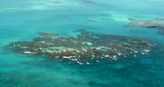 Recifes de Plataforma no litoral Norte de Alagoas