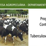 Unidade de Viçosa oferece treinamento para controle de brucelose e tuberculose