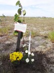 A história de Tiago Tierra está registrada ao lado da árvore plantada ano passado para honageá-lo