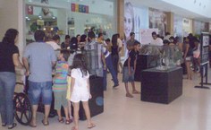 Público observa atento o acervo em exposição
