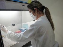 Pesquisa de doutorado confirma nova via de transmissão da toxoplasmose em caprinos