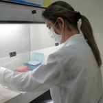 Pesquisa de doutorado confirma nova via de transmissão da toxoplasmose em caprinos