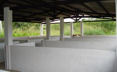 Local das pesquisas em Viçosa