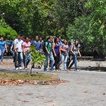 Curso de nivelamento prepara feras das Engenharias