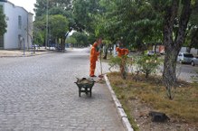 Limpeza prioriza canteiros da via principal