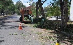 Poda de árvores pela equipe da Prefeitura de Maceió